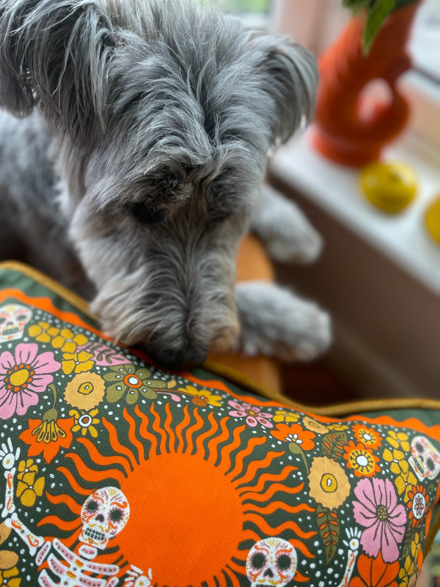 Bone Shakers Cushion Cover
