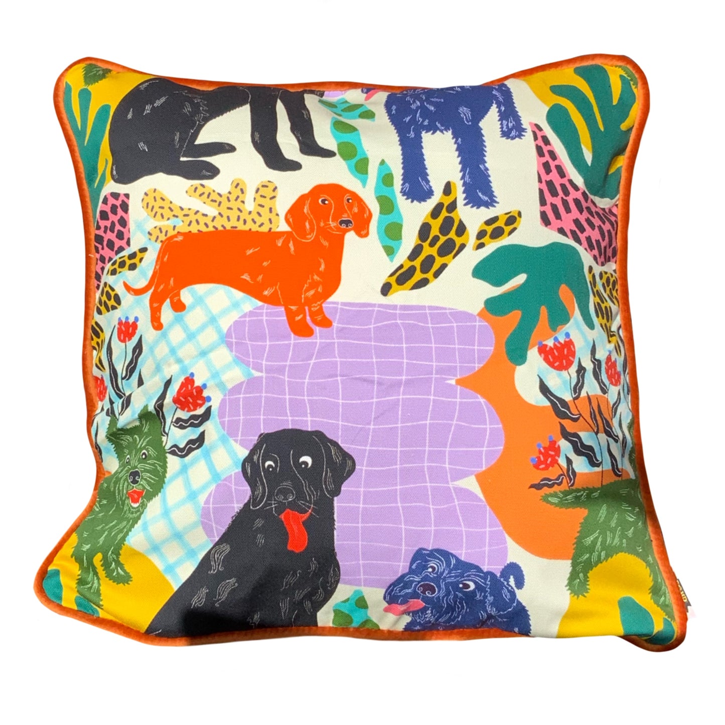 Poochie Cushion